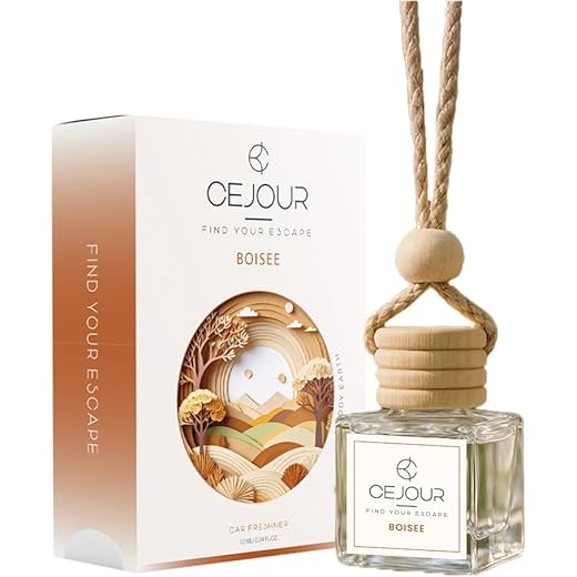 BOISE Woody Car Perfume Diffuser 10ml