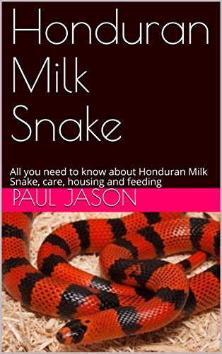 buy milk snake