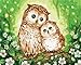 Pittura per numero per adulti e bambini kit pittura pittura per principianti tela prestampata (senza cornice)-Gufo coccole