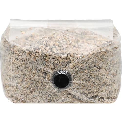 Brown Rice Flour Mushroom Substrate Grow Bag