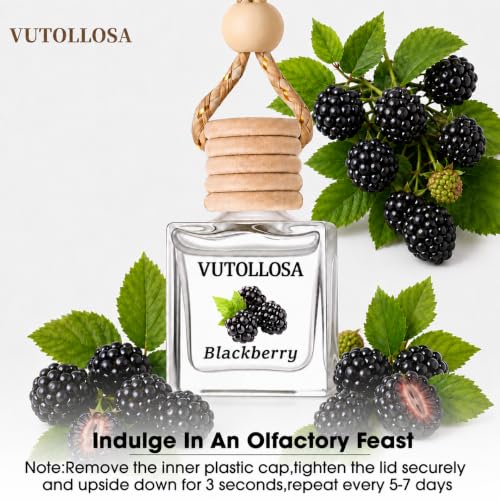 Image of Car Air Freshener Hanging Blackberry 2 Pack,Essential Oils Diffuser Car Scents Decor Air Freshener,Long-Lasting Cute Car Accessories for Women & Men