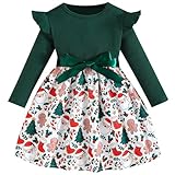 Pilipulu Robe Bowknot Fille Manches Longues à Volants Floral Papillon Robes Enfants Fille...