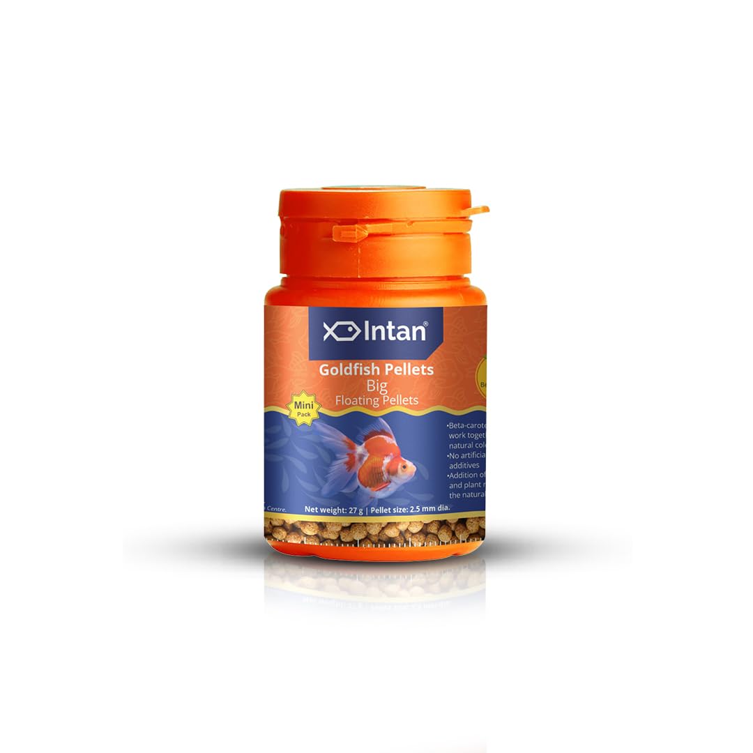 See full amazon price history chart for Growel Intan Goldfish Pellets (Big 2.5mm Floating) | 27gm - Highly Nutritious Ornamental Fish Food for All Goldfish - Ryukin, Red Cap, Ranchu & Lionhead Growel Intan Goldfish Pellets (Big 2.5mm Floating) | 27gm - Highly Nutritious Ornamental Fish Food for All Goldfish - Ryukin, Red Cap, Ranchu & Lionhead (B0CVB765L3) Amazon Price History, Amazon Price Tracker