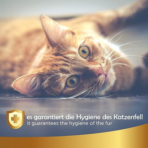 Katzenshampoo 101 Love for Pet – Natürlich und Pflanzlich