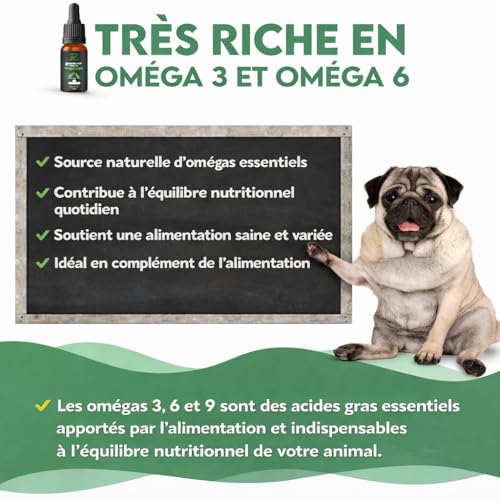 ARTISAM – Huile de Graines de Chanvre Sativa 30 ML 6000MG – Goût Poulet - Boeuf- Saumon- Nature – pour Chiens et Chats – Source Naturelle d’Oméga 3 & 6 – Fabriquée en France (Saumon) – vue 3