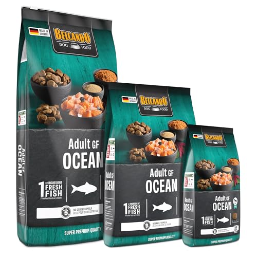 BELCANDO Adult GF Ocean [12,5 kg] getreidefreies Hundefutter | Sortenreines Trockenfutter ohne Getreide mit Fisch | Alleinfutter für ausgewachsene Hunde ab 1 Jahr