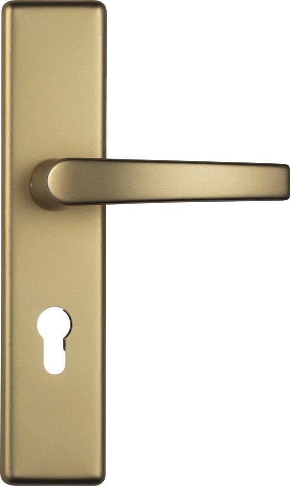 Abus KLZS714 F3 08421 Ferrure de protection pour porte Avec protection de barillet et poignée rectangulaire des 2 côtés, 08425
