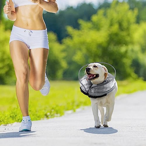 Image of Inflatable Dog Collar, Recovery Collar Dog, Inflatable Dog Collars After Surgery, Soft Dog Cone Collar, Protective Inflatable Collar for Anti Lick (Grey, M)