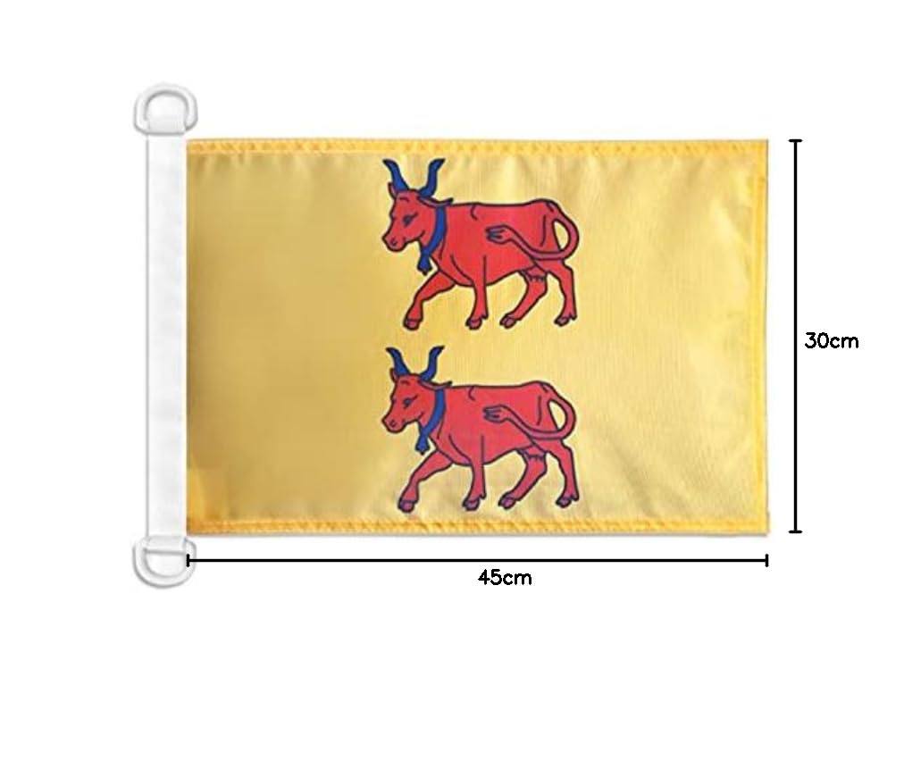 AZ FLAG Drapeau Comté De Provence 45x30 Cm – Pavillon Nautique Provençal Sang Et Or Pour Bateau, Résistant Au Vent Et à L'Eau, Maille Bloquée Avec Anneaux
