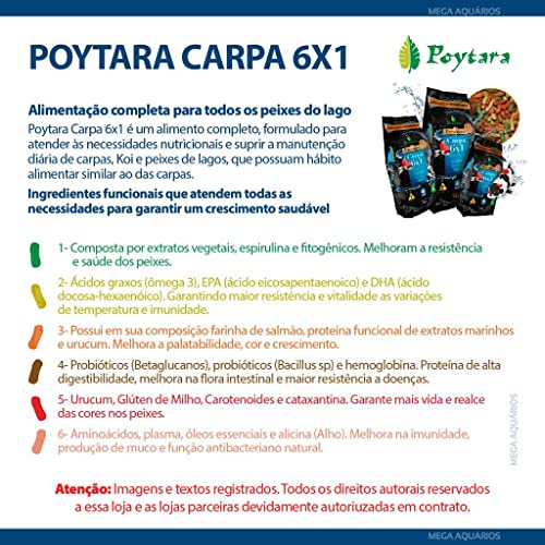 Poytara Ração Premium Carpa 6X1-6Kg