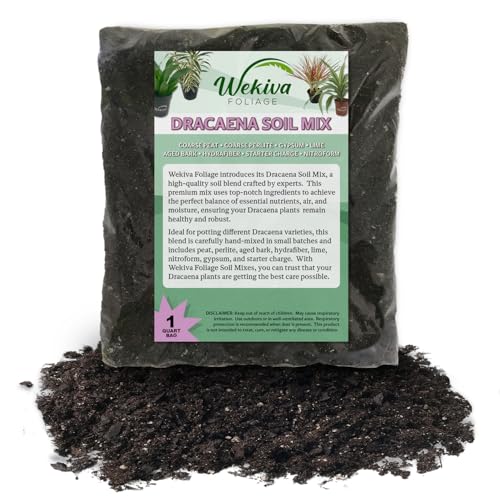 Dracaena Growing Soil Mix – 1 Quart - Custom Soil Blend – Potting Mix for Dracaena Plants – Specially Developed by and for Professional Nursery Growers - Nutrient-Rich Formula