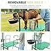 Goatzy Goat Stand with Adjustable Headpiece & Legs, Goat Milking Stand with Feeder, Rails & Wheels, Stanchion for Grooming & Hoof Trimming, Sheep Stand for Shearing Heavy-Duty Steel Platform, Green