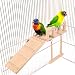Bird Perches Cage Toys Bird Wooden Play Gyms Stands with Climbing Ladder, Parrot Play Stand and Bird Swing Conure for Green cheeks, Baby Lovebird, Chinchilla, Hamster, Bird Cage Chewing Toys Sets