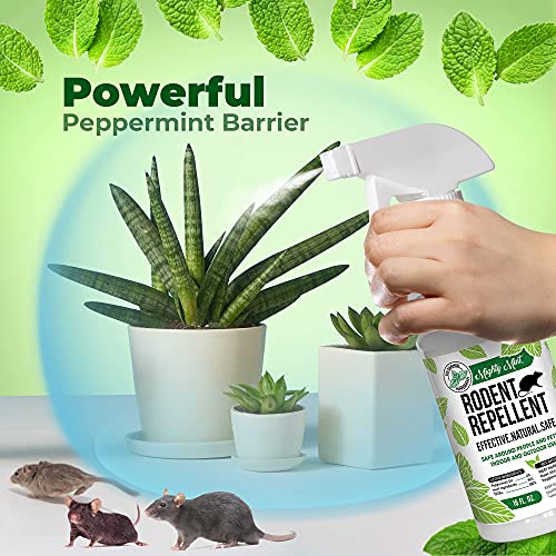 Peppermint Oil Rodent Repellent Spray and Concentrate