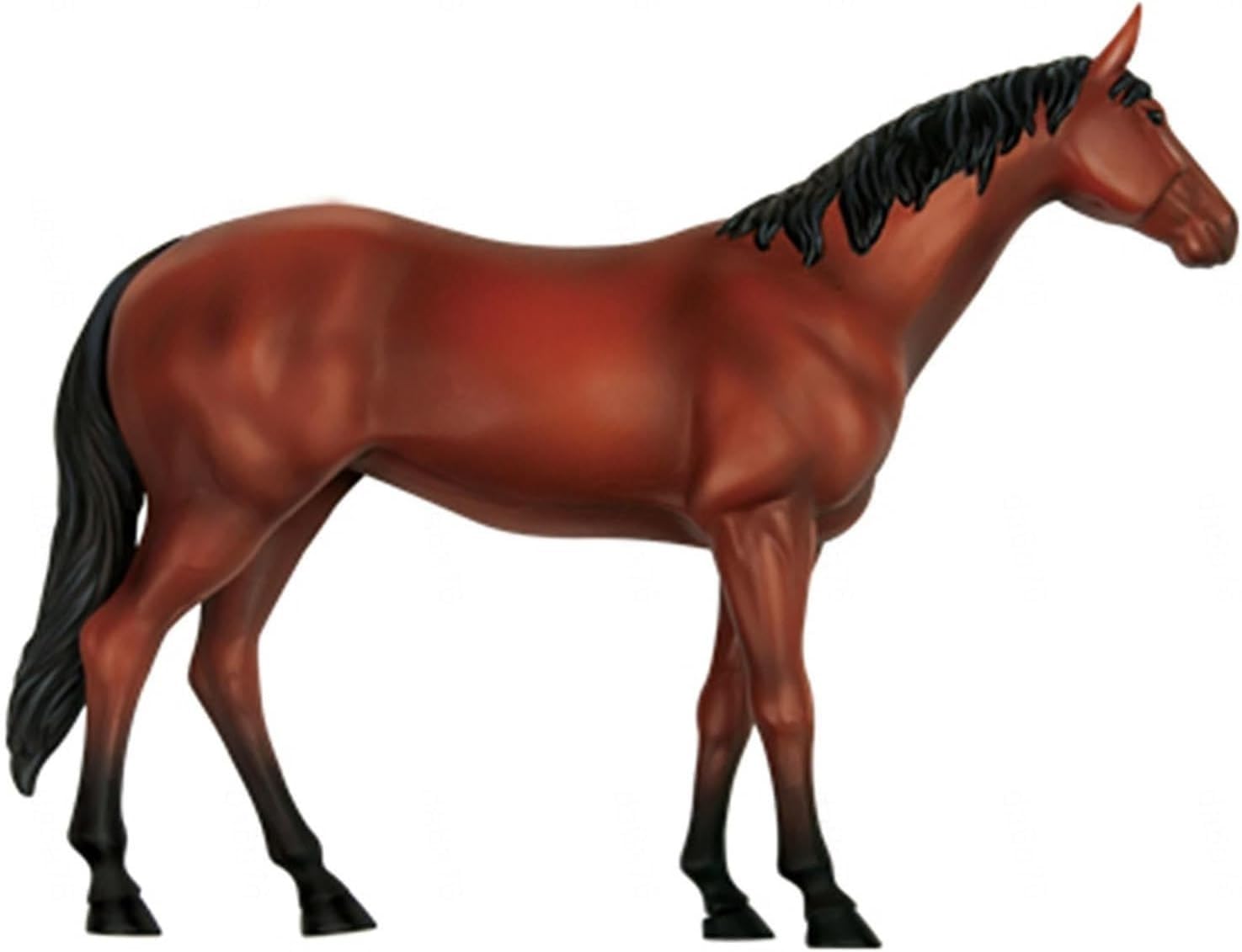 Modelo de acupuntura equina, Modelo de anatomía equina 4D, espécimen de Esqueleto Animal, 26 Piezas Desmontables, Modelo de enseñanza médica para clínica Veterinaria, formación Veterinaria, demostrac