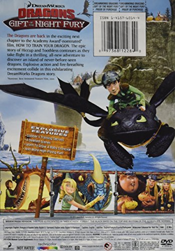 DreamWorks Dragons: Gift of The Night Fury image 4