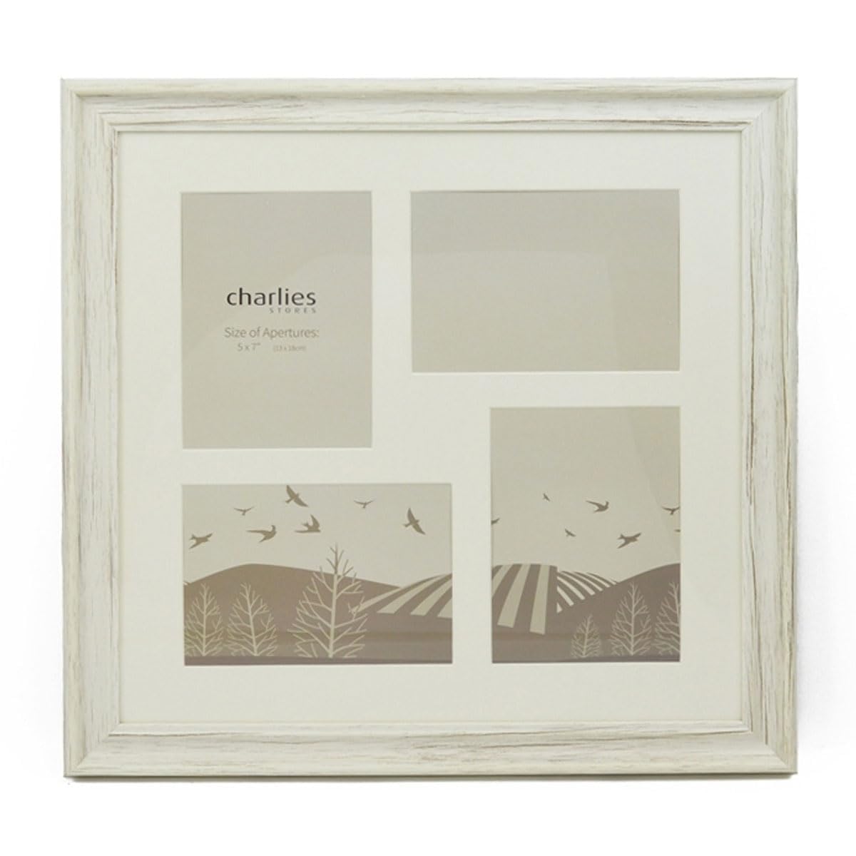 Charlies White Wash Effect 4 Aperture Picture Frame