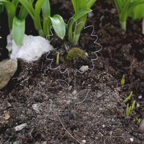 Bütic GmbH Acrylglas Pflanzschilder Blume farblos - Gartenstecker Kräuterschilder Pflanzenstecker - Auswahl + Wunschname, Pflanzenname:Leerschild