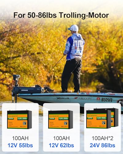 ECO-WORTHY Lithium Batterie 12v 100ah mit BMS Low Temperature Schutz und Max.15000 Zyklen, 1280Wh LiFePO4...