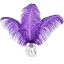 16-18 inch purple