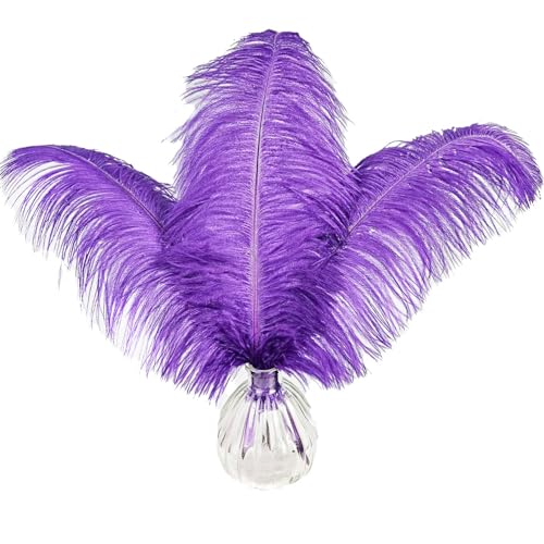 Happy Feather 16-18 inch Purple Ostrich Feathers Craft for Wedding Party centerpieces Home Decoration DIY Craft Pack of 10 by Happy Feather - Used condition - US$18.66
