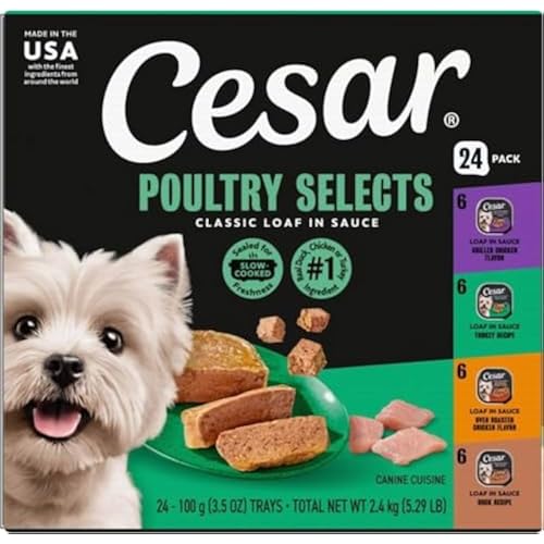 Cesar Classic Loaf in Sauce Wet Dog Food, Poultry Selects, 3.5 oz, 24 Count