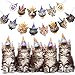 Cat Faces Birthday Banner Cat Birthday Garland Kitties Birthday Party Bunting Decoration for Cat Theme Party Baby Shower