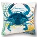 C&F Home Indoor/Outdoor Throw Pillow, Blue
