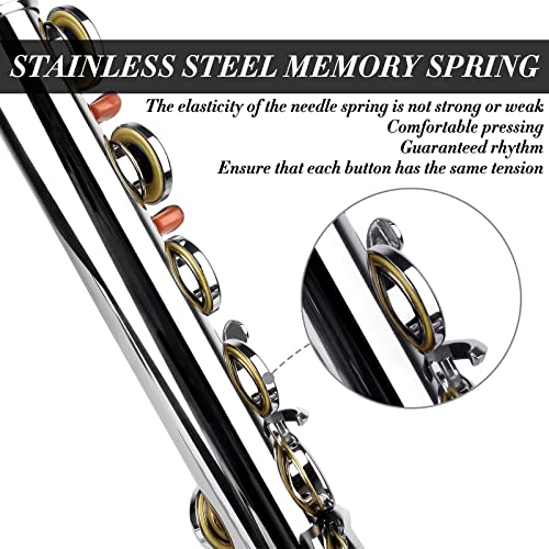 Slade Closed Hole C Flutes - Musical Instrument Beginner Student Flute With Case, Stand, Gloves, Tuning Rod, Carrying Case, Joint Grease And Cleaning Kit, Silver #TOP3