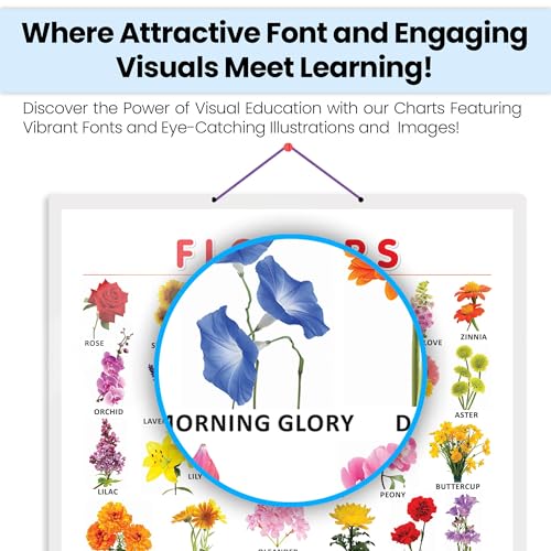 Image of GO WOO FLOWERS CHART HARD LAMINATED | Botanical Beauty: Sturdy Laminated Flowers Wall Display