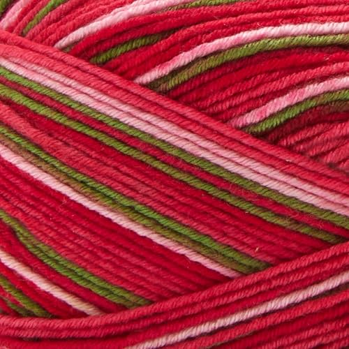 Image of Premier Yarns Fruits, Acrylic Sock Yarn, 2-Pack Bundled with Bella's Crafts Stitch Markers (Guava)