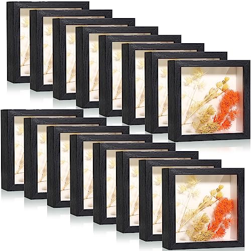Ripeng 16 Pack Shadow Box Frame Display Case Picture Frame for Wedding Bouquet, Teacher Crafts,...