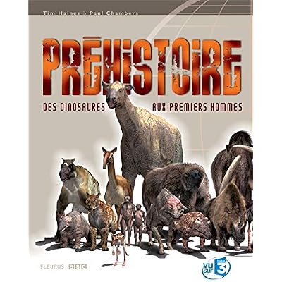 PREHISTOIRE