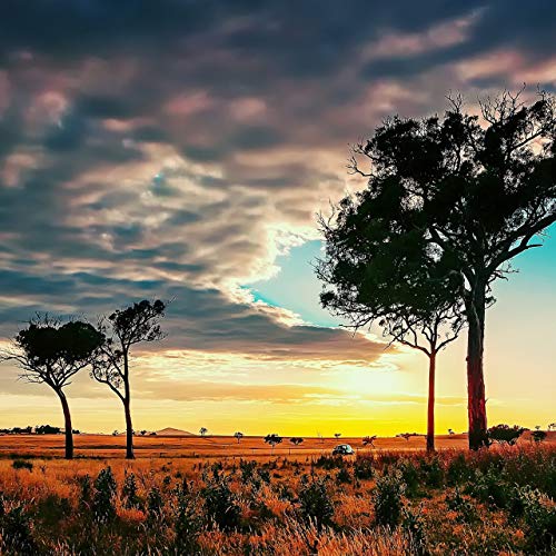 Afro House Mix Vol.65 by Pocoloco