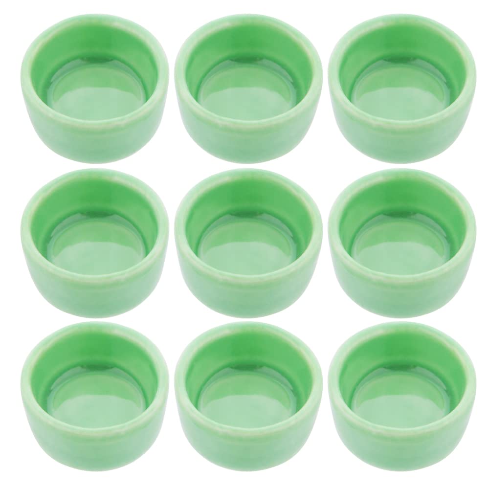 6 Stück Mini-Wasserschalen Aus Harz - Für Spinnen, Krabben & Reptilien