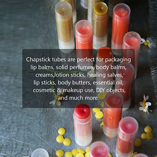 Image of nsb herbals Thermoplastic Polyurethane 5 Gm Empty Clear /Transparent Empty Chapstick /Lip Stick Tube Container for Lip Balm, Lipstick, Cosmetic and Makeup Use (Pack of 3), ?1.6 x 1.6 x 6.5 cm
