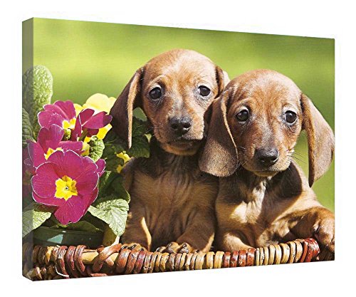 Toile « Will You Take Us Home » : tableau cadre bois touchant 40 cm
