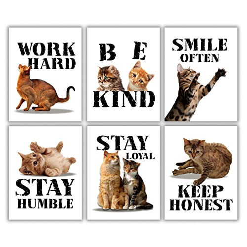 Set of 6 Cat Art Posters