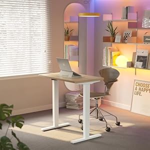 HUANUO Höhenverstellbarer Schreibtisch 80 x 48 cm, 4 Speicherhöheneinstellungen, Elektrischer Schreibtisch für Home Office & Computer-Arbeitsplatz, Standing Desk, Licht Wulnut