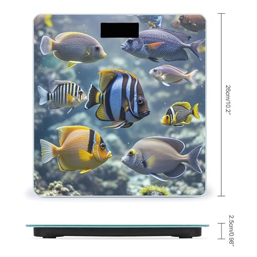 Báscula digital Different Fish con vidrio templado y pantalla LCD miniatura 2