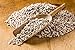 Food to Live Organic Sprouted Sunflower Seeds, 2 Pounds - Non-GMO, Kosher, No Shell, Unsalted, Raw Kernels, Vegan Superfood, Sirtfood, Bulk