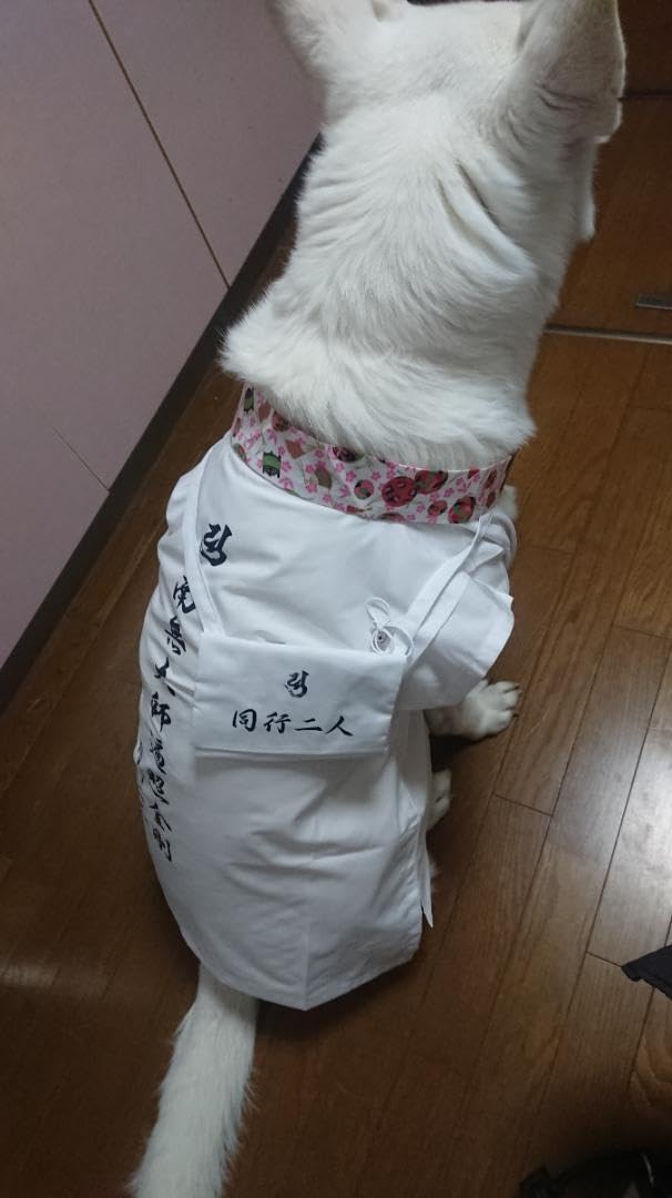 ペット用お遍路白衣さんや袋付き&輪袈裟 三点セット Lサイズ