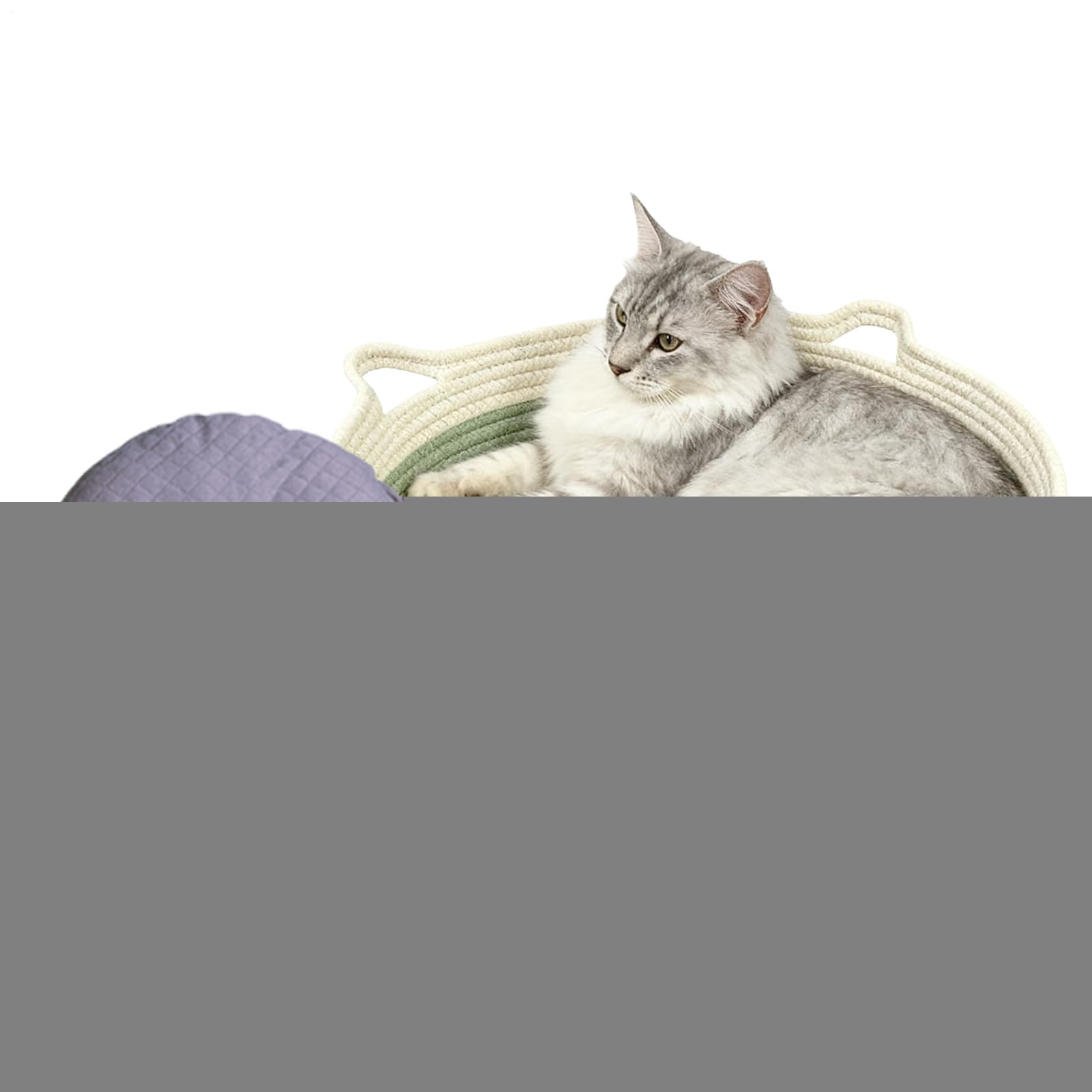 Cama lavable para gatos que elimina el pelo y suciedad en dormitorios de interior