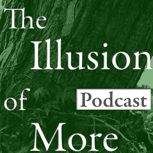 The Illusion of More Titelbild