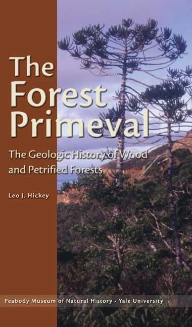The Forest Primeval – The Geologic History of Wood and Petrified Forests (Elgar In Association with the Institute of Developing Economies, JETRO EE) Paperback – Import, 6 August 2010