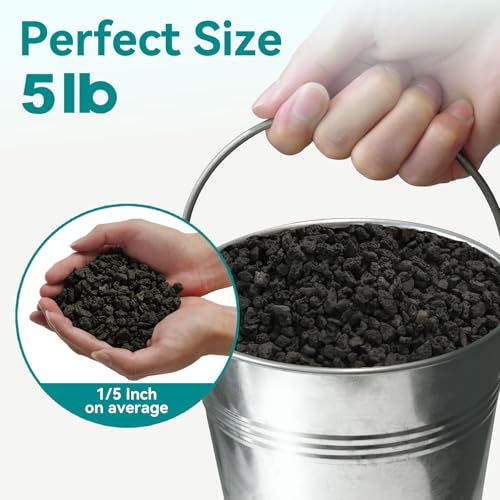 Image of 5lbs Small Lava Rocks for Plants Drainage, 1 /5 Inch Black Gravel Mulch for House Plants, Succulent Rocks Pebbles for Planters,Cactus, Bonsai Tree, Pure Volcanic Rocks, Top-Dressing