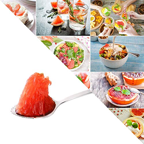 Grapefruit Spoons, JUSTDOLIFE Grapefruit Dessert Spoons Stainless Steel Half Serrated Citrus Fruit Vintage Dessert Spoons Gift for Kitchen (5 Pack) - Thumbnail 4