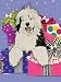 Old English Sheepdog Christmas Cards : 10 Holiday Cards with Red Envelopes - ADORABLE!