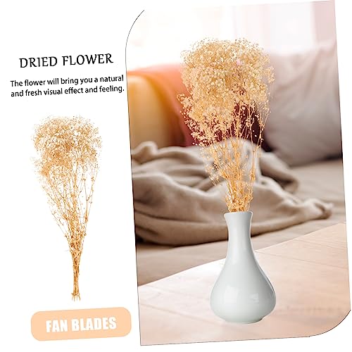 Ramo de Flores Secas Garvalon para Decoración miniatura 7