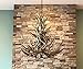 REAL ANTLER CHANDELIER, 8 LIGHTS, SHED ANTLER ART, ELK COVERED SOCKETS HANDMADE EXTRA LARGE